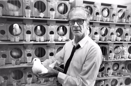 Penerapan Teori Behaviorisme B.F. Skinner dalam Pembelajaran Anak